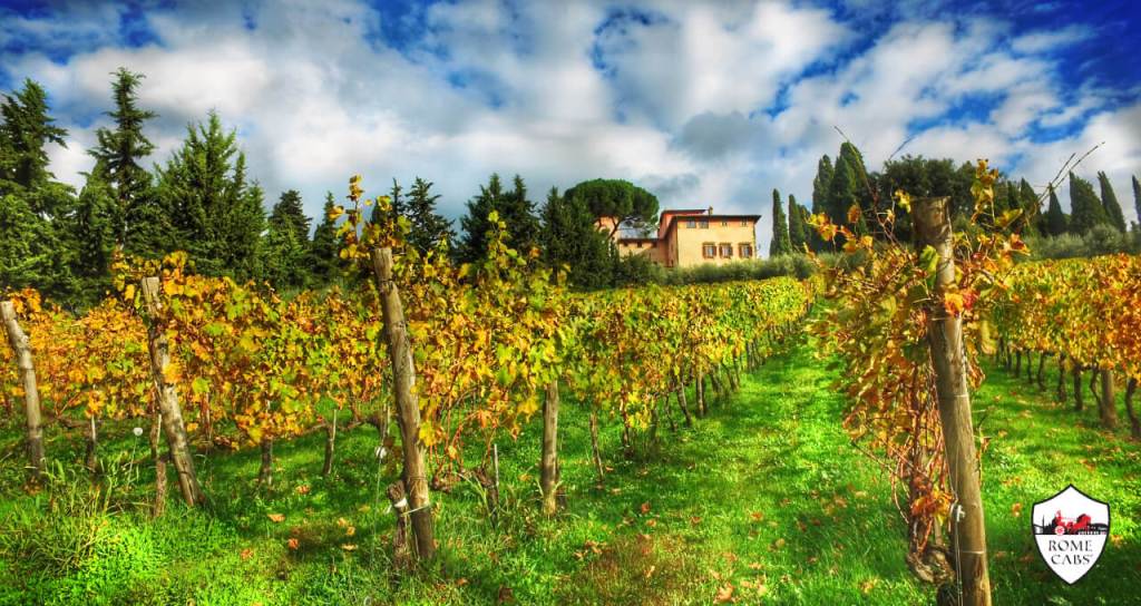 Wine Tasting in Tuscany Tours from Rome, visit Vignamaggio Winery in Chianti